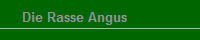 Die Rasse Angus